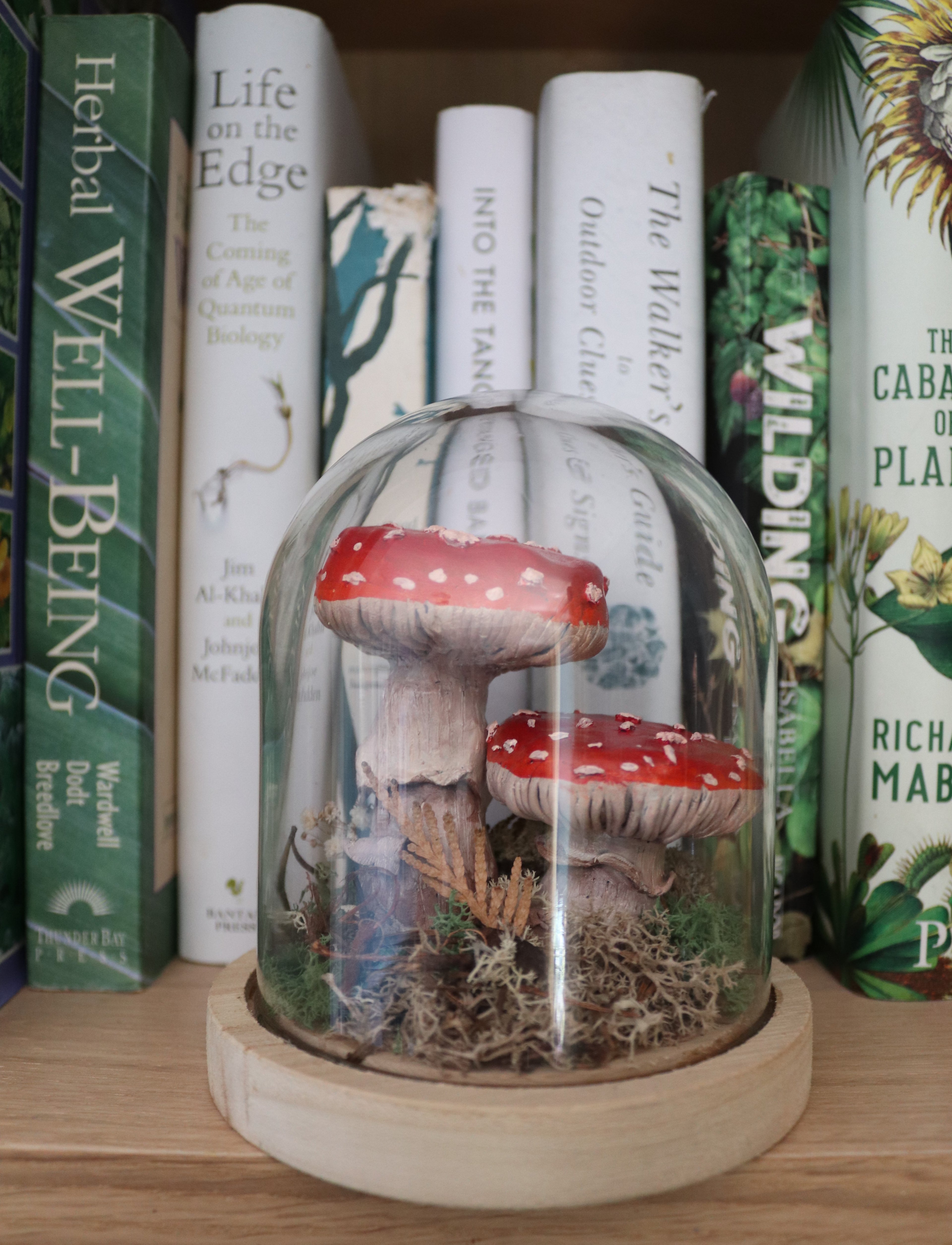 mushroom hand sculpted from clay in a beautiful glass bell jar with natural flowers and grass around it 